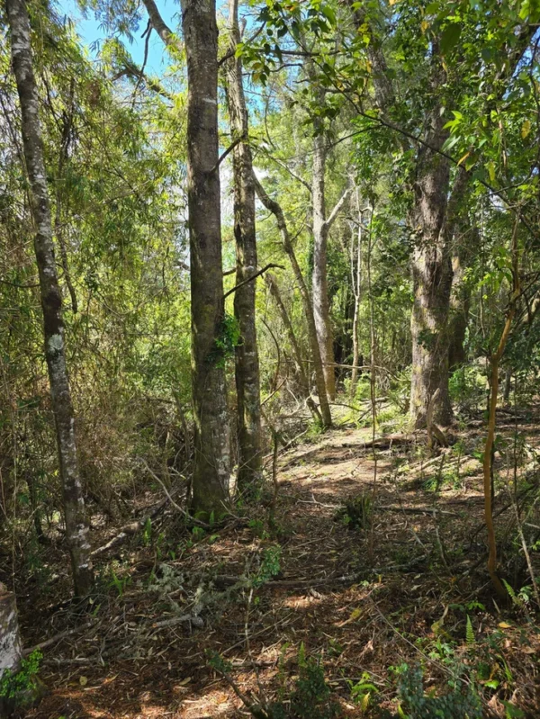 campo san nicolás Últimas parcelas disponibles