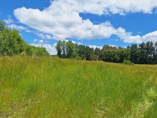 fundo santa clara $24.990.000 Últimas parcelas