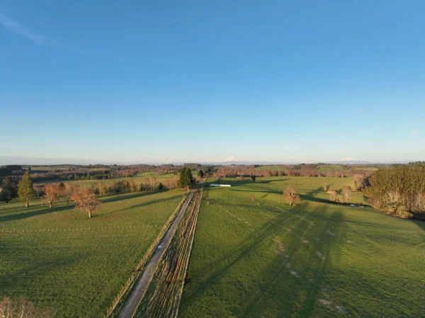 terrazas de crucero desde $25.000.000