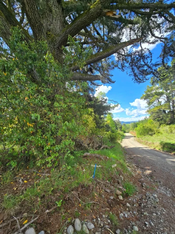 campo san nicolás Últimas parcelas disponibles