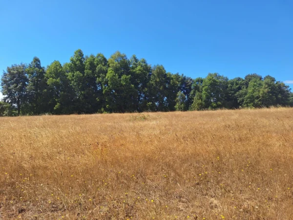 parque nativo sector huaqui $30.000.000 opción de crédito directo