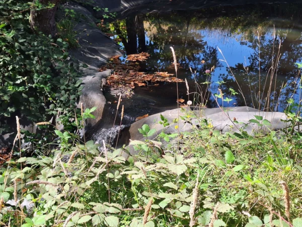 parque nativo sector huaqui $30.000.000 opción de crédito directo