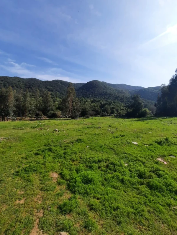 los molinos puerto octay (copia)