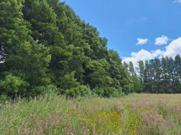 fundo santa clara $24.990.000 Últimas parcelas