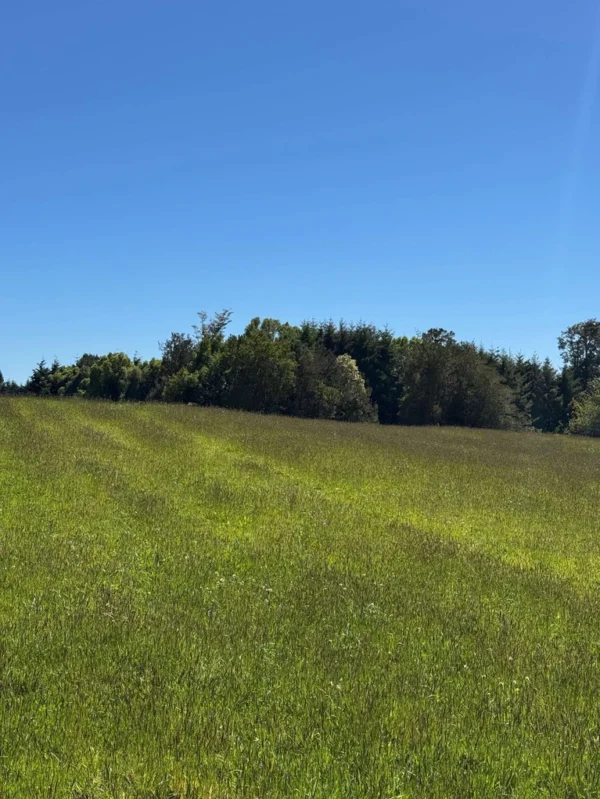 amplia casa en parcela sector la moto villarrica (copia)