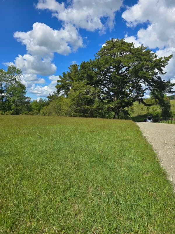 campo san nicolás Últimas parcelas disponibles