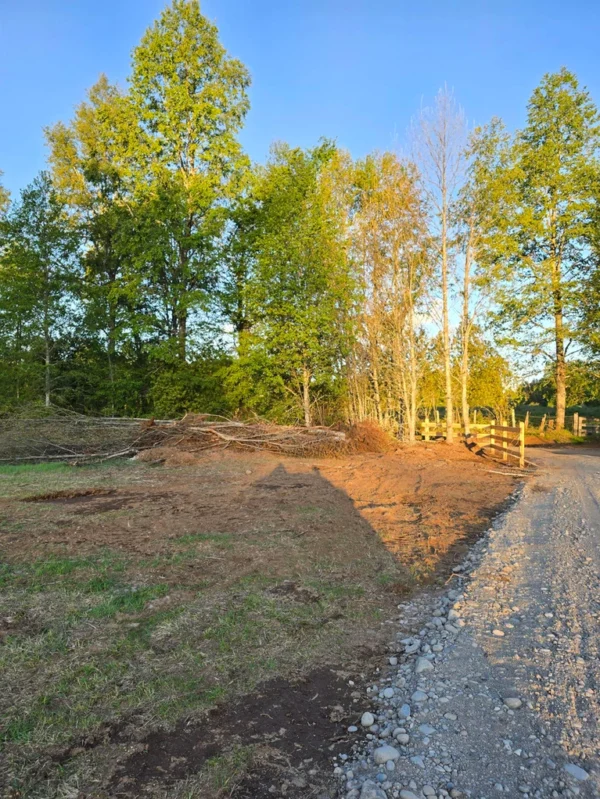 raíces de relún a 15 km de villarrica