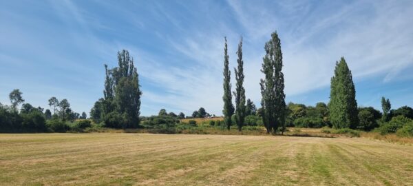 aires de puerto nuevo $22.990.000