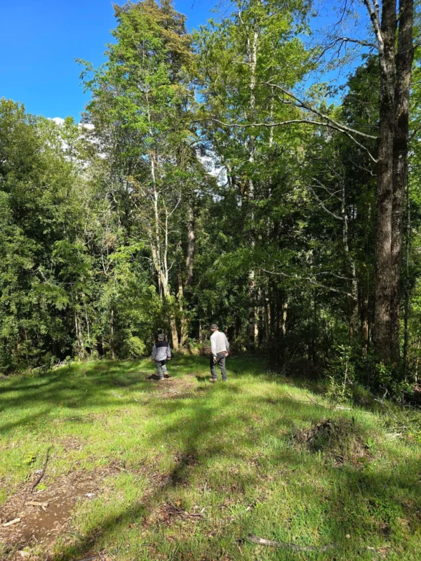a 20 min de licanray parcelas de 1 hectárea con estero