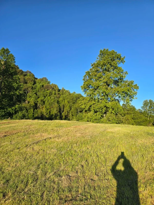 la comarca a solo 10 km de villarrica desde $39.990.000