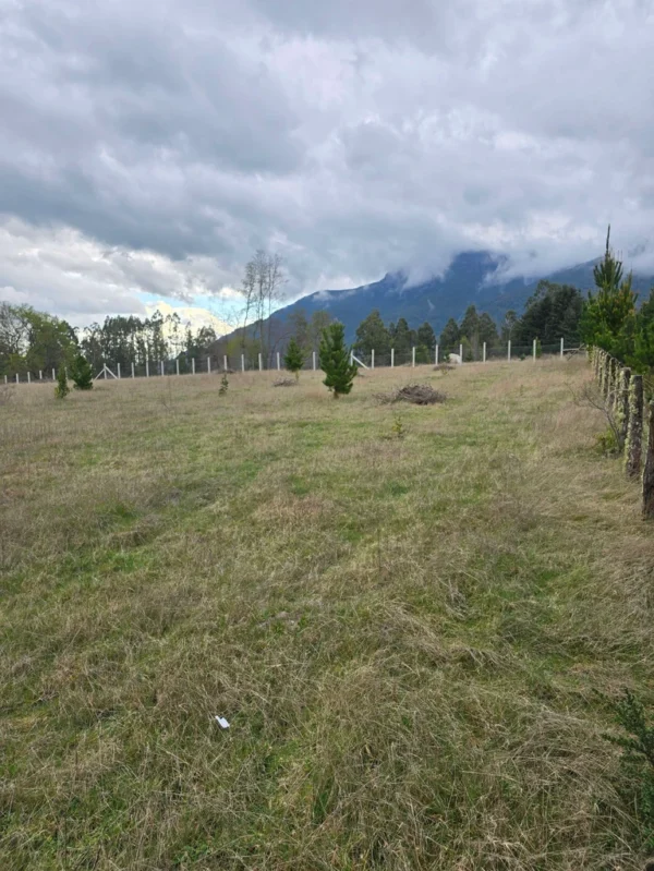 parcelas ruta cunco melipeuco