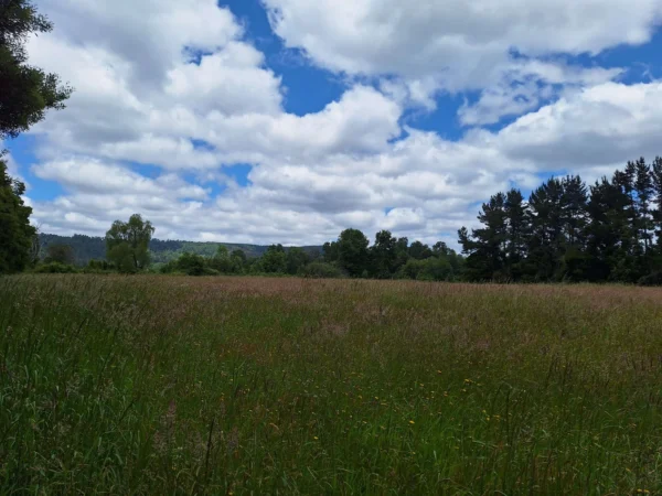 fundo santa clara $24.990.000 Últimas parcelas