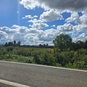 campo san nicolás Últimas parcelas disponibles