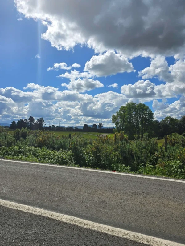 Campo San Nicolás ÚLTIMAS PARCELAS DISPONIBLES campo san nicolás Últimas parcelas disponibles