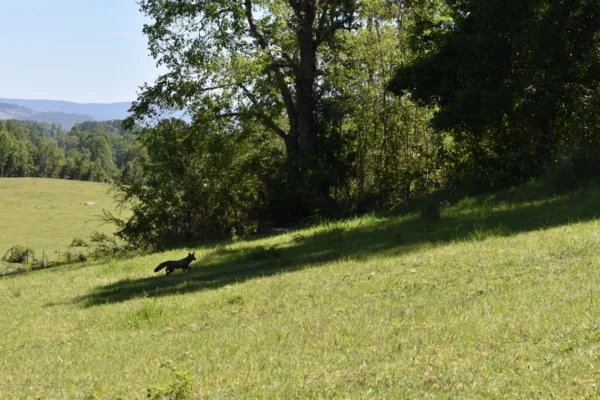 la comarca a solo 10 km de villarrica desde $39.990.000