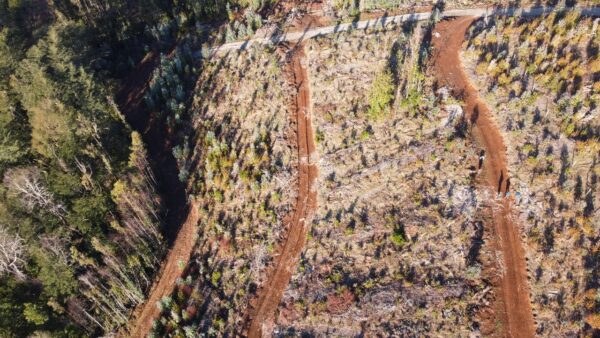 parcela de 1,9 hectáreas loncoche $39.990.000