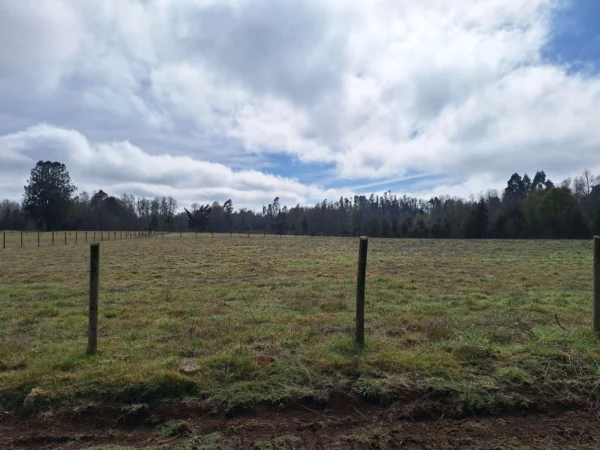 a 20 min de villarrica parcelas con luz, agua y cercadas