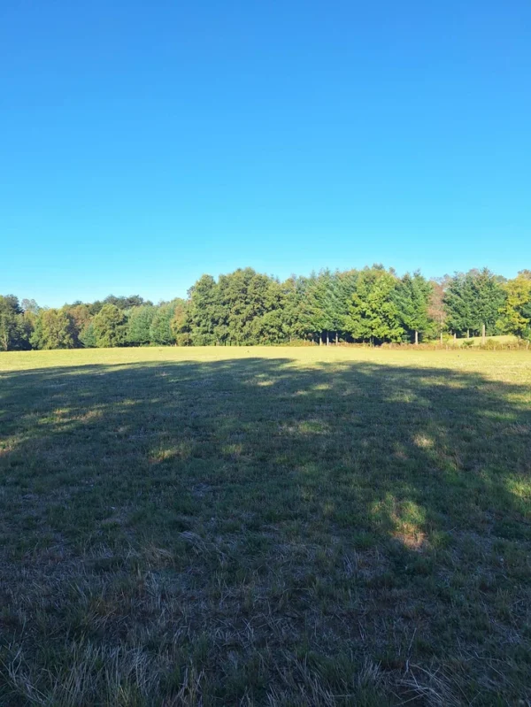 rinconada a solo 15 min de villarrica