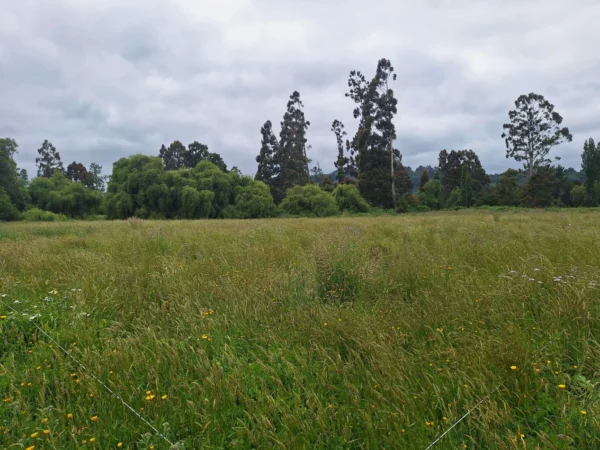 aires de paillaco $23.990.000