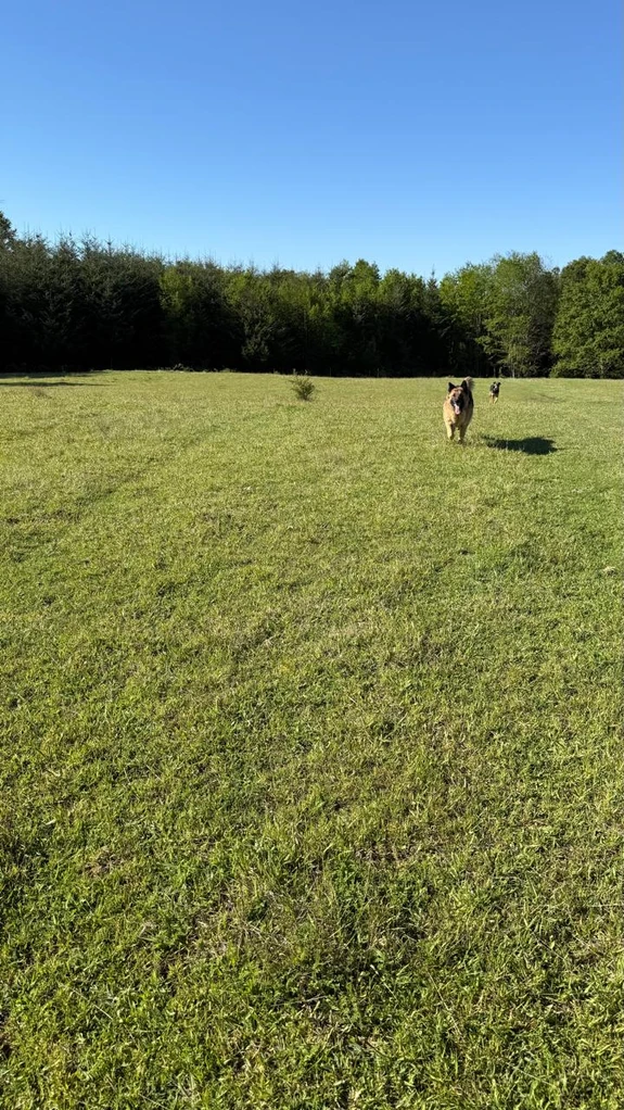 cumbres de puc贸n $29.990.000