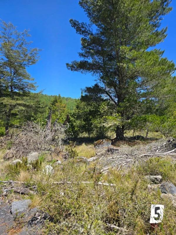 parcelas a minutos del lago calafquén $30.000.000