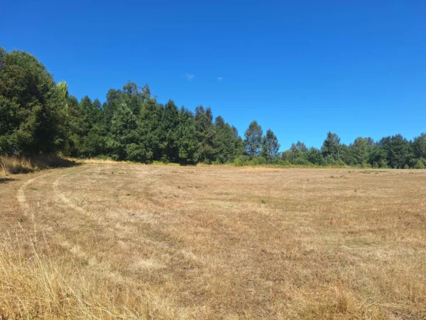 séptima faja hermosas parcelas a 20 min de villarrica desde $28.000.000