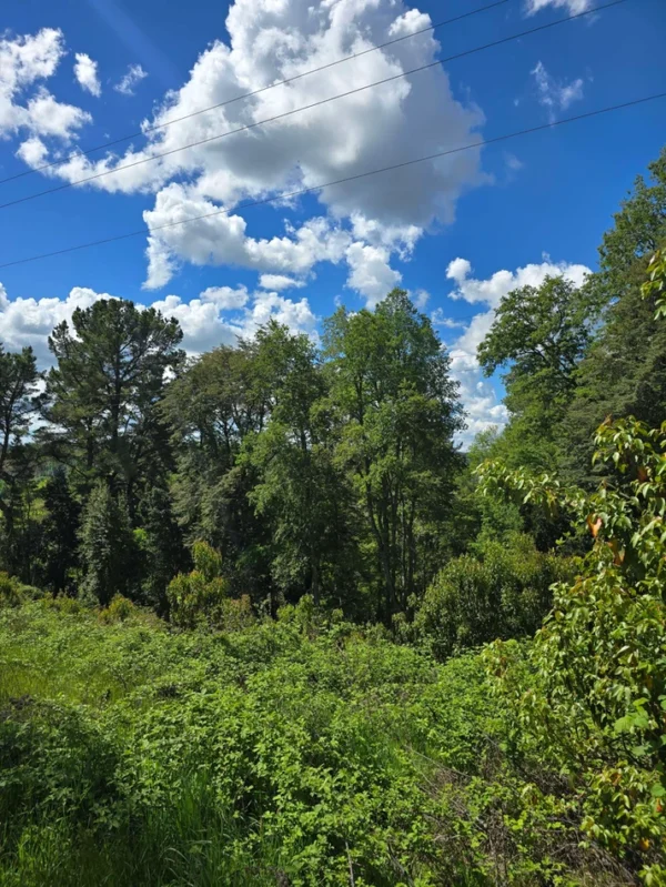 campo san nicolás Últimas parcelas disponibles