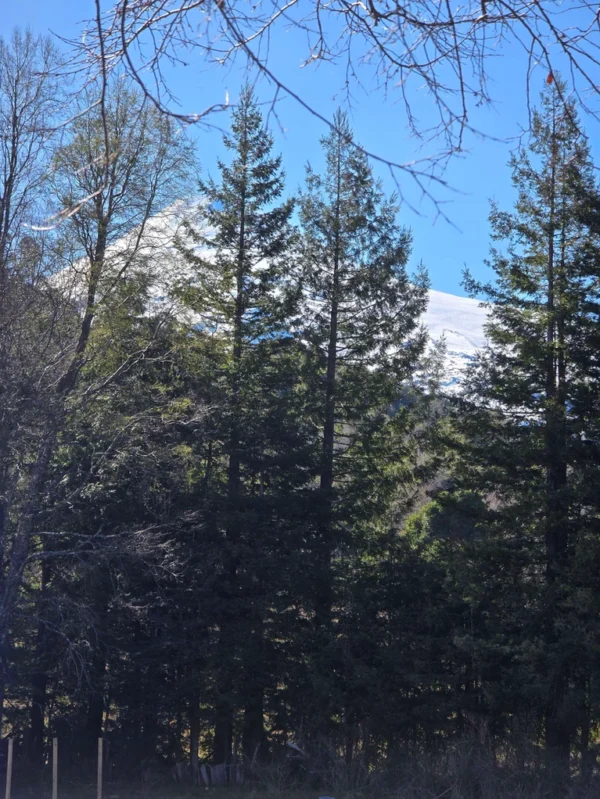 parcelas pino huacho lican ray