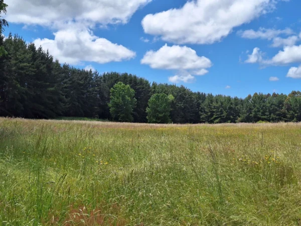 fundo santa clara $24.990.000 Últimas parcelas