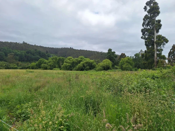 aires de paillaco $23.990.000