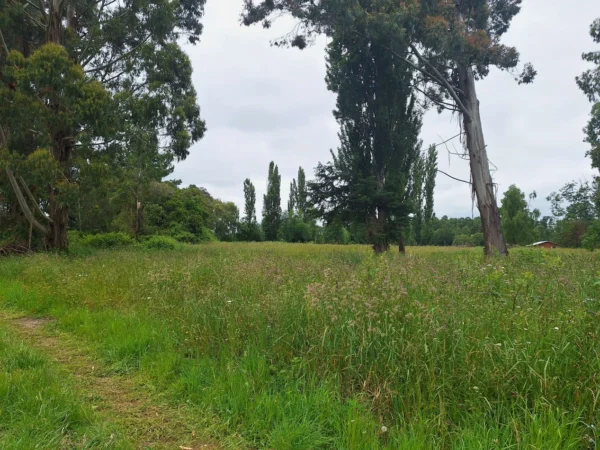 aires de paillaco $23.990.000