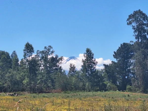 a solo 15 min de villarrica $38.000.000 crédito directo