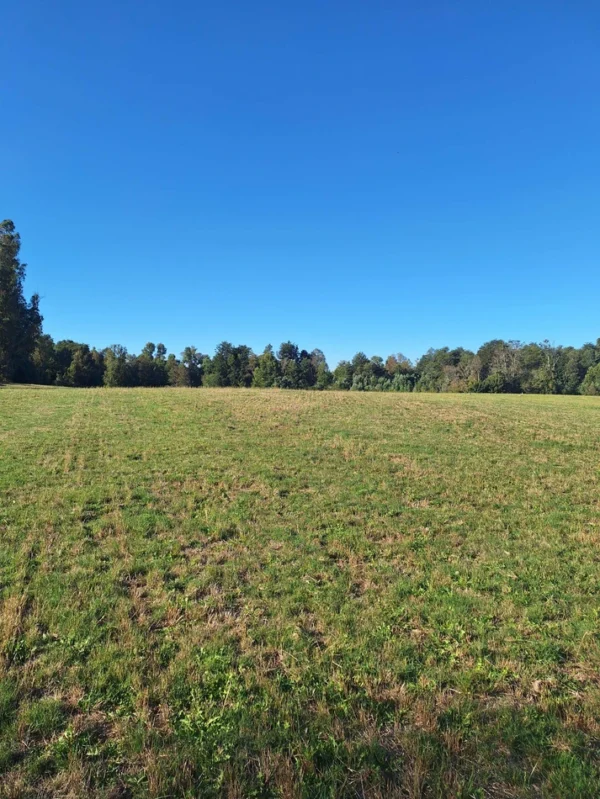 rinconada a solo 15 min de villarrica