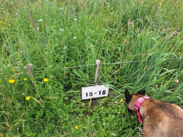 aires de paillaco $23.990.000