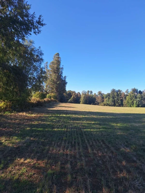 rinconada a solo 15 min de villarrica