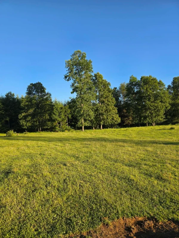 la comarca a solo 10 km de villarrica desde $39.990.000