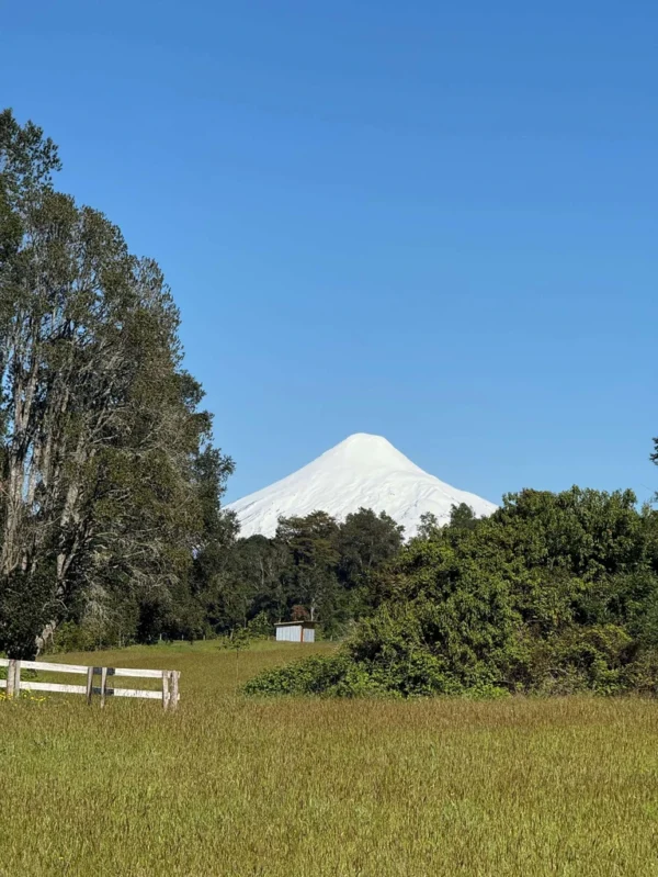los molinos puerto octay