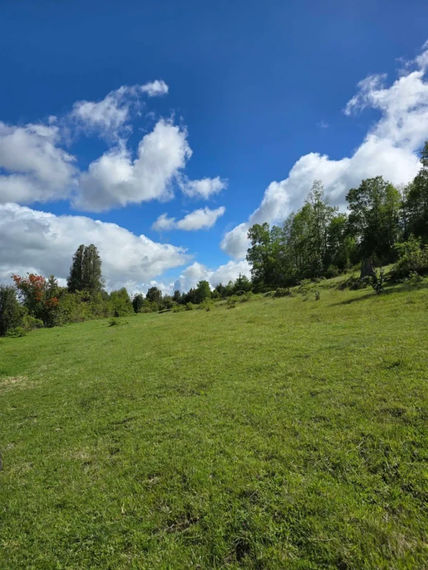a 20 min de licanray parcelas de 1 hectárea con estero