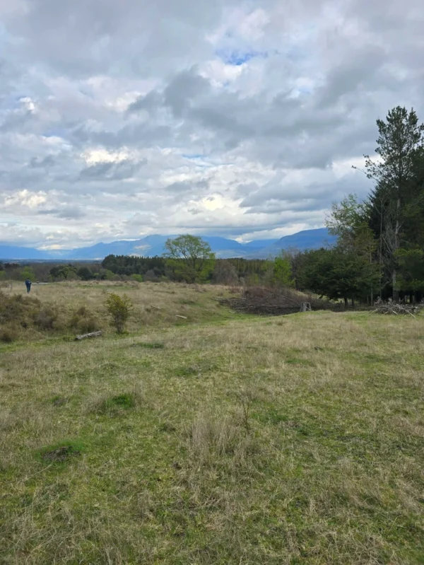 parcelas ruta cunco melipeuco