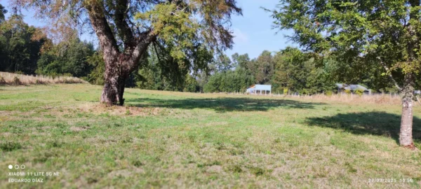 parcelas en relún a 15 km de villarrica