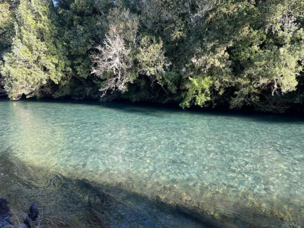 coihueco riverside puerto octay