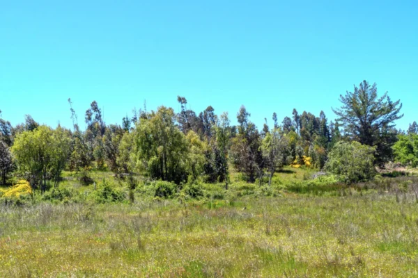 valle san andrés yumbel desde $23.990.000