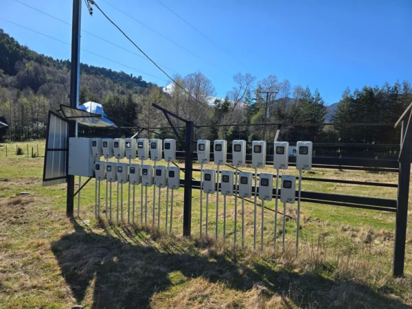 parcelas pino huacho lican ray