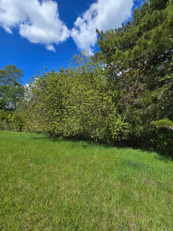 campo san nicolás Últimas parcelas disponibles