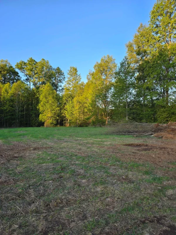 raíces de relún a 15 km de villarrica