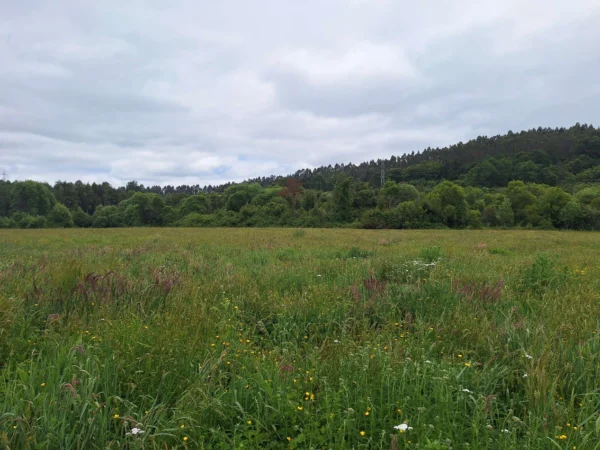 aires de paillaco $23.990.000