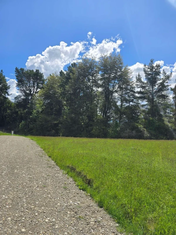 campo san nicolás Últimas parcelas disponibles