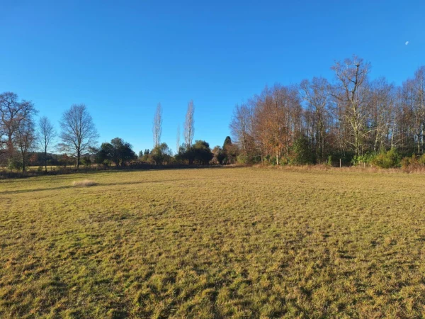 séptima faja hermosas parcelas a 20 min de villarrica desde $28.000.000