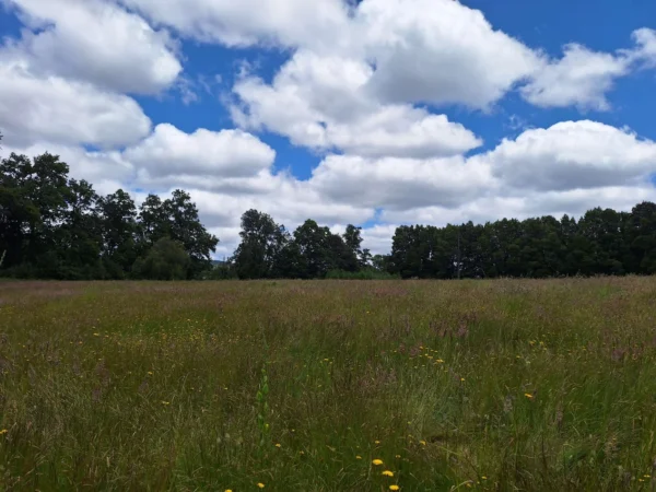 fundo santa clara $24.990.000 Últimas parcelas