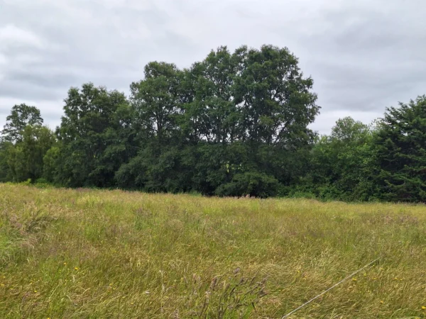 aires de paillaco $23.990.000